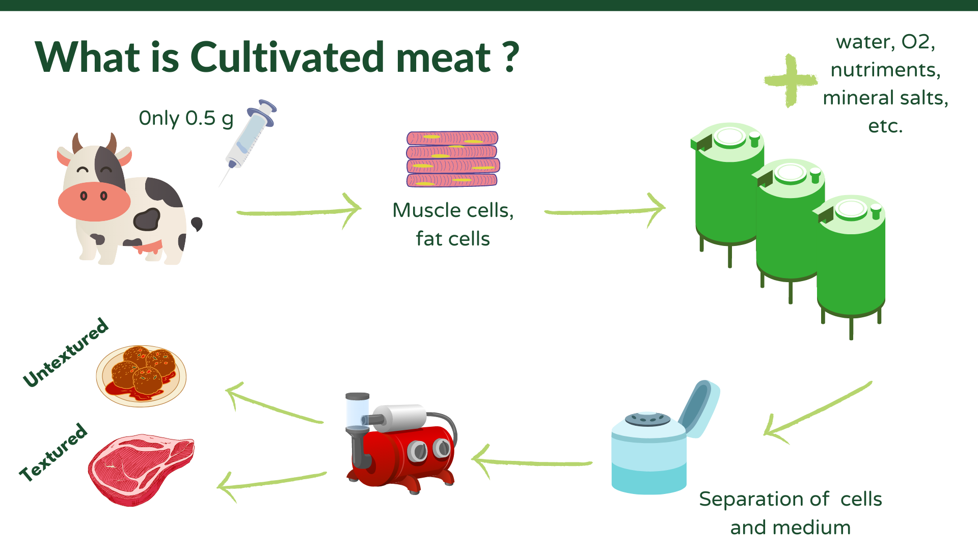 What is cultivated meat?